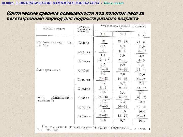 ЛЕКЦИЯ 3. ЭКОЛОГИЧЕСКИЕ ФАКТОРЫ В ЖИЗНИ ЛЕСА - Лес и свет Критические средние освещенности