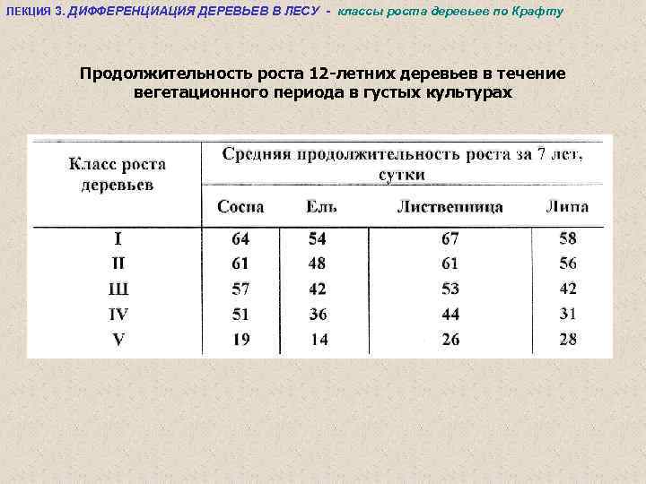 ЛЕКЦИЯ 3. ДИФФЕРЕНЦИАЦИЯ ДЕРЕВЬЕВ В ЛЕСУ - классы роста деревьев по Крафту Продолжительность роста