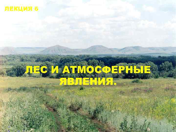 ЛЕКЦИЯ 6 ЛЕС И АТМОСФЕРНЫЕ ЯВЛЕНИЯ. 1 