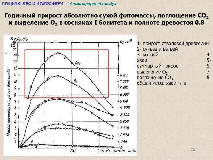 ЛЕКЦИЯ 6. ЛЕС И АТМОСФЕРА - Атмосферный воздух Годичный прирост абсолютно сухой фитомассы, поглощение
