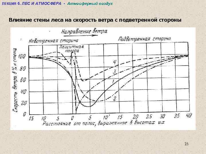 Зависимость скорости ветра от высоты. График скорости ветра. Изменение скорости ветра с высотой. Скорость ветра на графике. Скорость ветра в лесу.