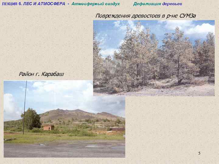 ЛЕКЦИЯ 6. ЛЕС И АТМОСФЕРА - Атмосферный воздух Дефолиация деревьев Повреждения древостоев в р-не