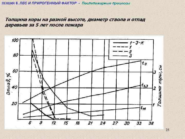 ЛЕКЦИЯ 8. ЛЕС И ПРИРОГЕННЫЙ ФАКТОР - Послепожарные процессы Толщина коры на разной высоте,
