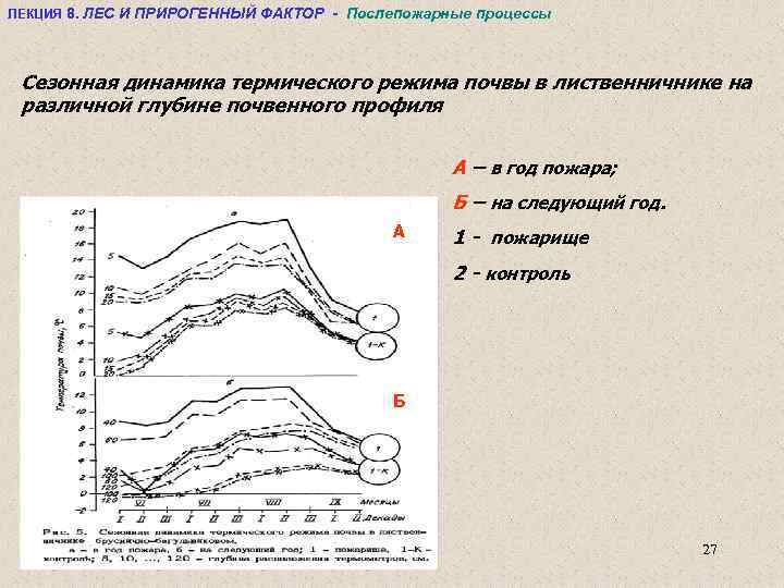 ЛЕКЦИЯ 8. ЛЕС И ПРИРОГЕННЫЙ ФАКТОР - Послепожарные процессы Сезонная динамика термического режима почвы