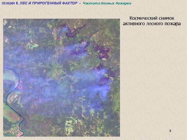 ЛЕКЦИЯ 8. ЛЕС И ПРИРОГЕННЫЙ ФАКТОР - Частота лесных пожаров Космический снимок активного лесного