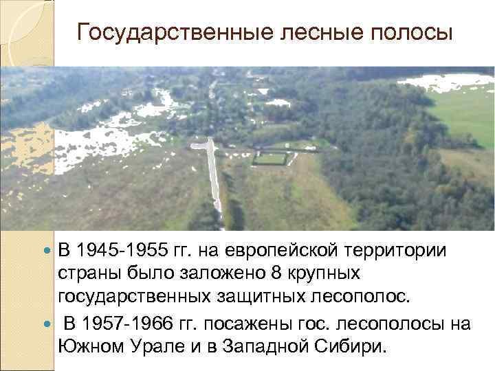 Государственные лесные полосы В 1945 -1955 гг. на европейской территории страны было заложено 8