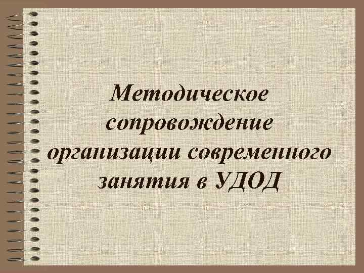 Методическое сопровождение организации современного занятия в УДОД 