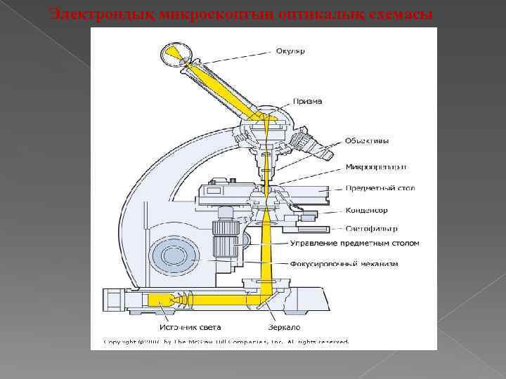 Электрондық микроскоптың оптикалық схемасы 