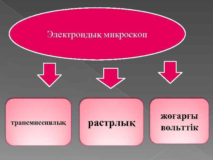 Электрондық микроскоп трансмиссиялық растрлық жоғарғы вольттік 