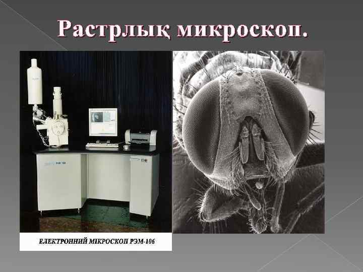 Растрлық микроскоп. 