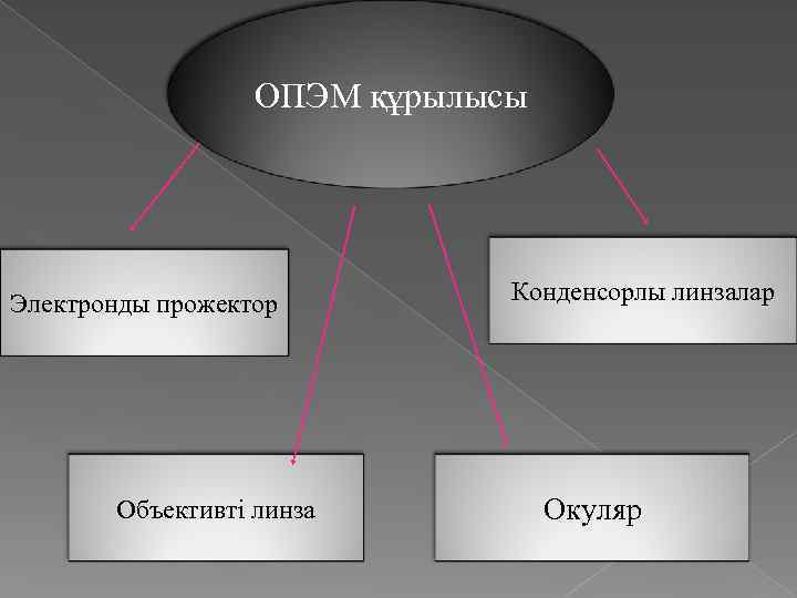 ОПЭМ құрылысы Электронды прожектор Объективті линза Конденсорлы линзалар Окуляр 