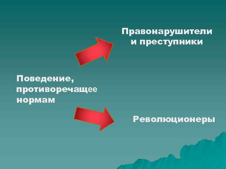 Правонарушители и преступники Поведение, противоречащее нормам Революционеры 