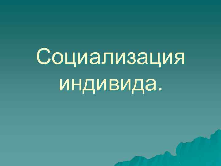 Социализация индивида. 