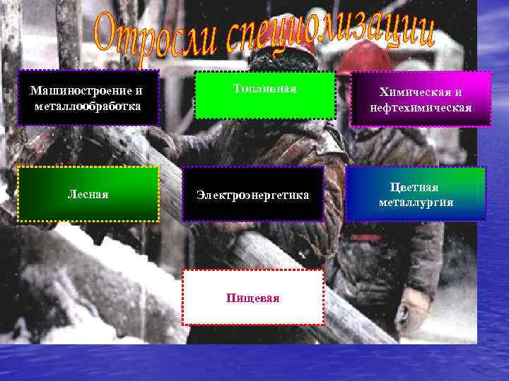 Машиностроение и металлообработка Лесная Топливная Электроэнергетика Пищевая Химическая и нефтехимическая Цветная металлургия 