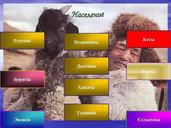 Русские Нганасаны Кеты Далганы Ненцы Буряты Хакасы Тувинци Эвенки Селькупы 