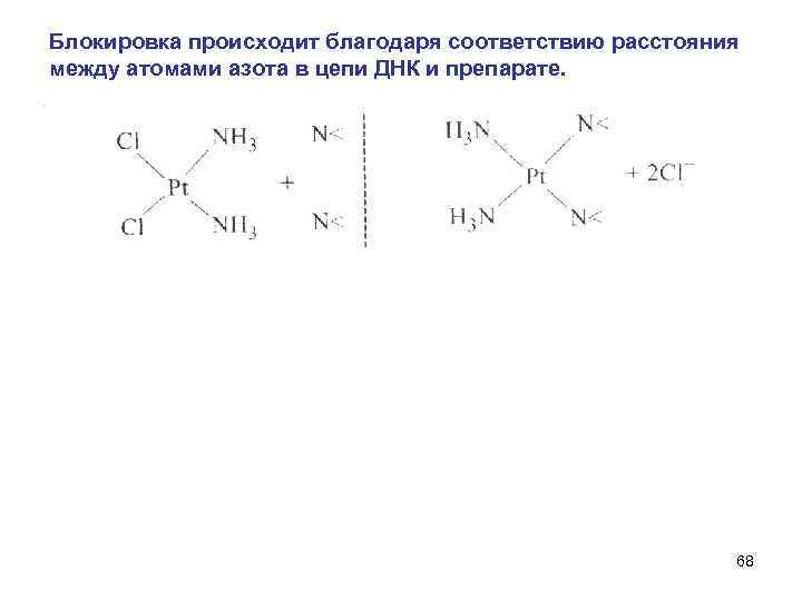 Блокировка происходит благодаря соответствию расстояния между атомами азота в цепи ДНК и препарате. 68