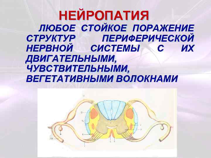 НЕЙРОПАТИЯ ЛЮБОЕ СТОЙКОЕ ПОРАЖЕНИЕ СТРУКТУР ПЕРИФЕРИЧЕСКОЙ НЕРВНОЙ СИСТЕМЫ С ИХ ДВИГАТЕЛЬНЫМИ, ЧУВСТВИТЕЛЬНЫМИ, ВЕГЕТАТИВНЫМИ ВОЛОКНАМИ