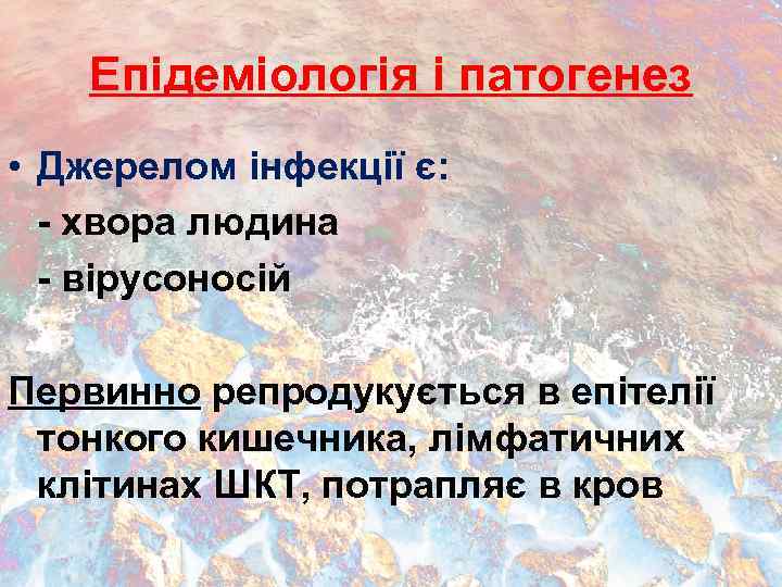 Епідеміологія і патогенез • Джерелом інфекції є: - хвора людина - вірусоносій Первинно репродукується