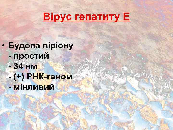 Вірус гепатиту Е • Будова віріону - простий - 34 нм - (+) РНК-геном