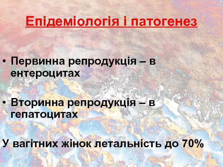 Епідеміологія і патогенез • Первинна репродукція – в ентероцитах • Вторинна репродукція – в