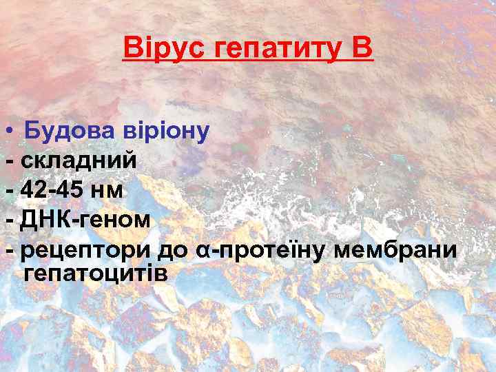 Вірус гепатиту В • Будова віріону - складний - 42 -45 нм - ДНК-геном