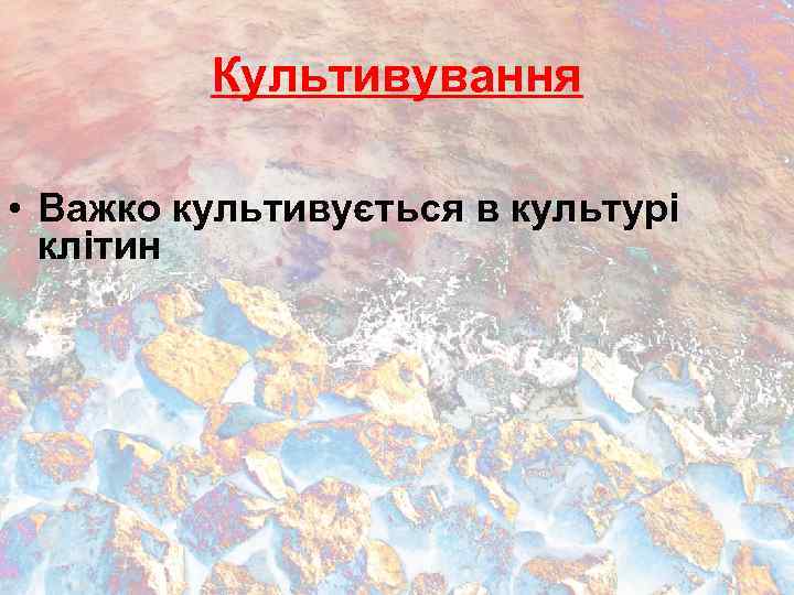 Культивування • Важко культивується в культурі клітин 