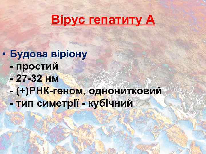 Вірус гепатиту А • Будова віріону - простий - 27 -32 нм - (+)РНК-геном,