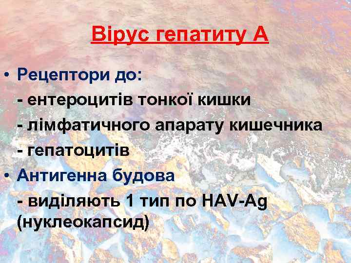 Вірус гепатиту А • Рецептори до: - ентероцитів тонкої кишки - лімфатичного апарату кишечника