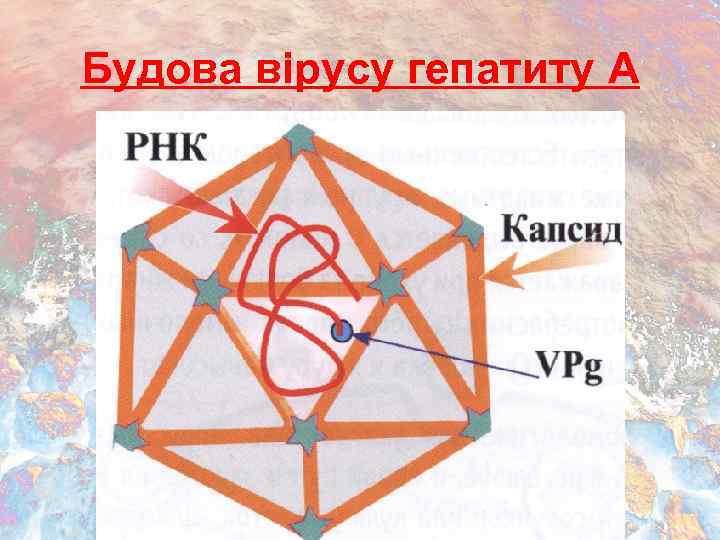 Карта осадков дятьково брянская область