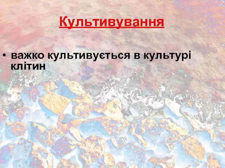 Культивування • важко культивується в культурі клітин 