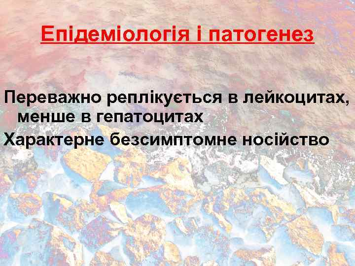 Епідеміологія і патогенез Переважно реплікується в лейкоцитах, менше в гепатоцитах Характерне безсимптомне носійство 
