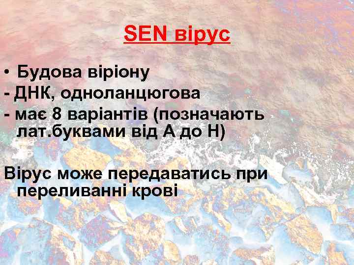 SEN вірус • Будова віріону - ДНК, одноланцюгова - має 8 варіантів (позначають лат.