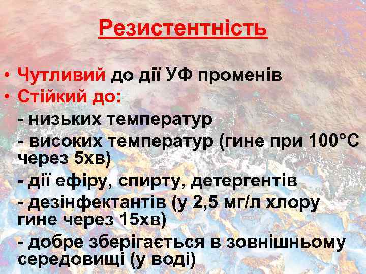 Резистентність • Чутливий до дії УФ променів • Стійкий до: - низьких температур -