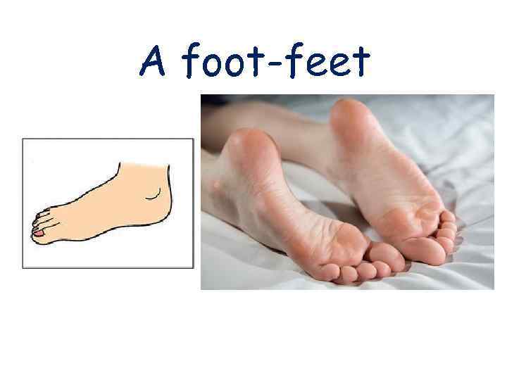 A foot-feet 