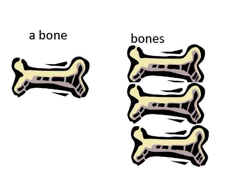 a bones 