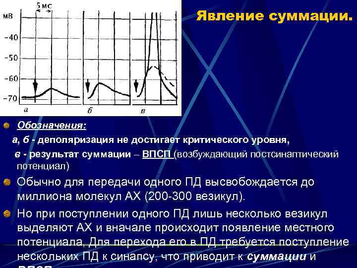 Явление суммации. Обозначения: а, б - деполяризация не достигает критического уровня, в - результат