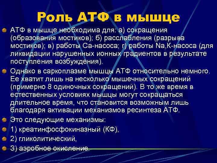 Роль АТФ в мышце необходима для: а) сокращения (образования мостиков); б) расслабления (разрыва мостиков);