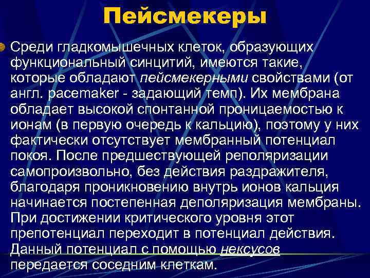 Пейсмекеры Среди гладкомышечных клеток, образующих функциональный синцитий, имеются такие, которые обладают пейсмекерными свойствами (от