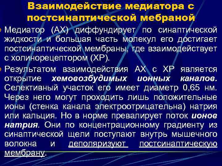 Взаимодействие медиатора с постсинаптической мебраной Медиатор (АХ) диффундирует по синаптической жидкости и большая часть