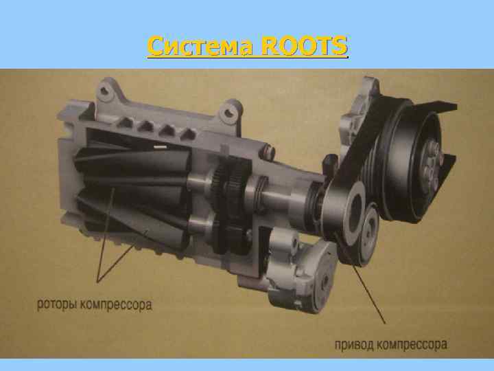 Система ROOTS 