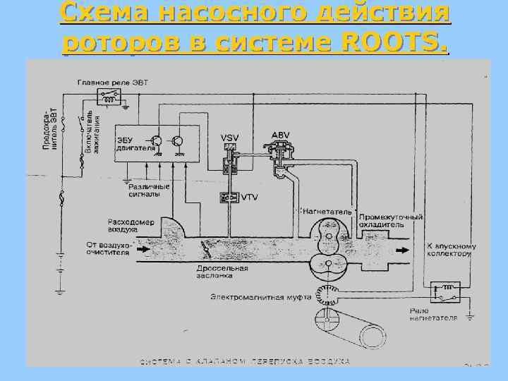 Схема насосного действия роторов в системе ROOTS. 