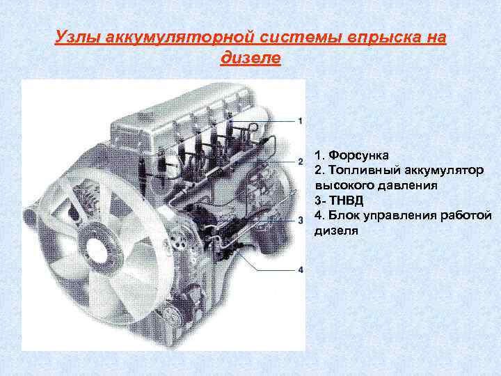 Узлы аккумуляторной системы впрыска на   дизеле     1. Форсунка