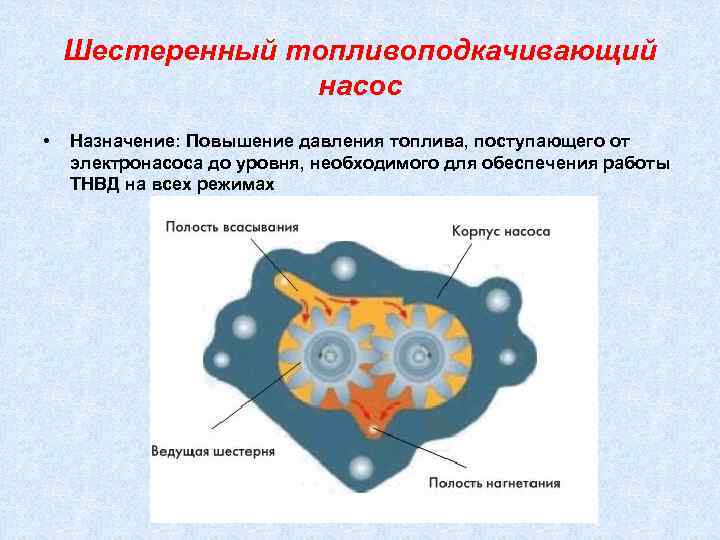   Шестеренный топливоподкачивающий   насос •  Назначение: Повышение давления топлива, поступающего