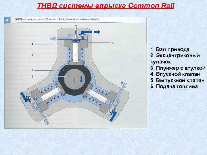 ТНВД системы впрыска Common Rail      1. Вал привода 