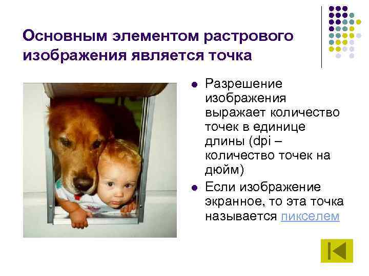 Основным элементом растрового изображения является точка l l Разрешение изображения выражает количество точек в