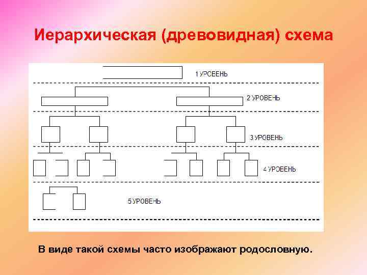 Иерархическая (древовидная) схема В виде такой схемы часто изображают родословную. 