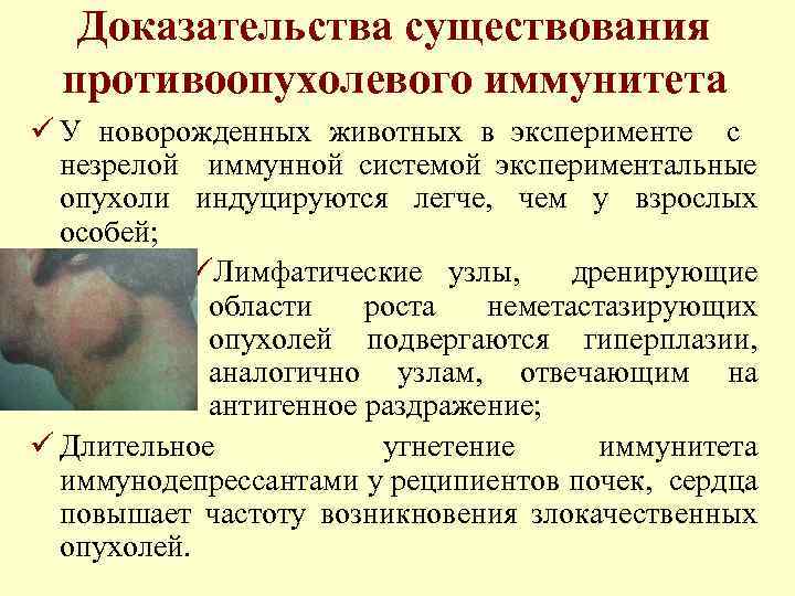 Доказательства существования противоопухолевого иммунитета ü У новорожденных животных в эксперименте с незрелой иммунной системой