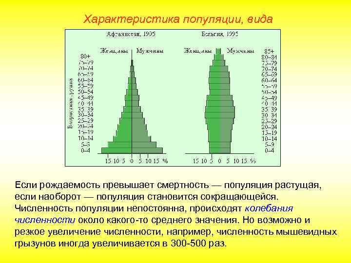 Изменение численности и структуры популяций. Возрастная структура популяции человека. Возрастная пирамида популяции. Растущая численность популяции. Структура и динамика популяций.