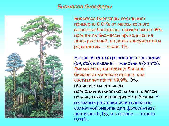Биомасса биосферы составляет примерно 0, 01% от массы косного вещества биосферы, причем около 99%