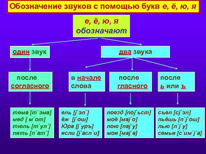 Обозначение звуков с помощью букв е, ё, ю, я обозначают один звук после согласного